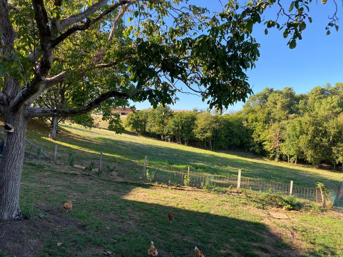 Le Gite De La Villenie - En Pleine Nature - 5 Min Centre Ville De Sarlat ภายนอก รูปภาพ